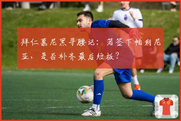 拜仁慕尼黑寻腰记:若签下帕利尼亚,是否补齐最后短板?