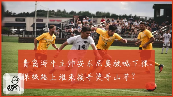青岛海牛主帅安东尼奥被喊下课，保级路上谁来接手烫手山芋？