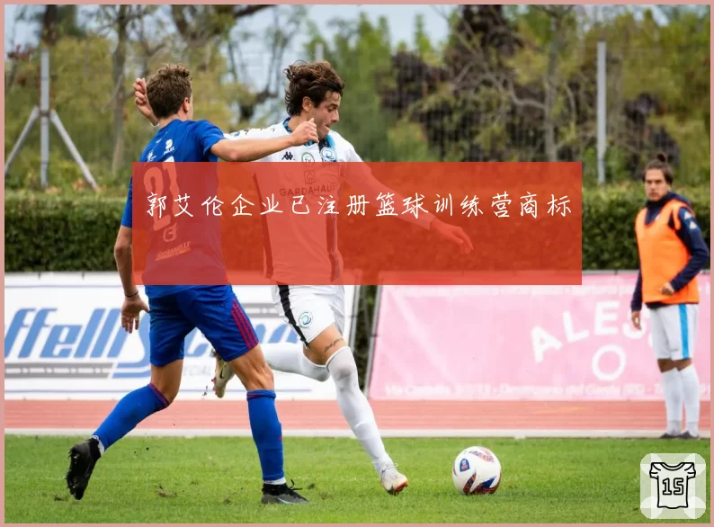 郭艾伦企业已注册篮球训练营商标