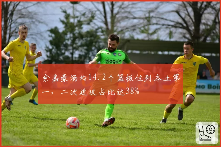 余嘉豪场均14.2个篮板位列本土第一,二次进攻占比达38%