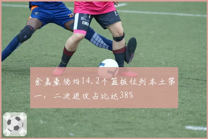 余嘉豪场均14.2个篮板位列本土第一,二次进攻占比达38%