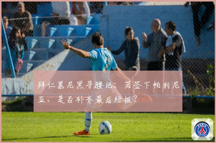 拜仁慕尼黑寻腰记:若签下帕利尼亚,是否补齐最后短板?