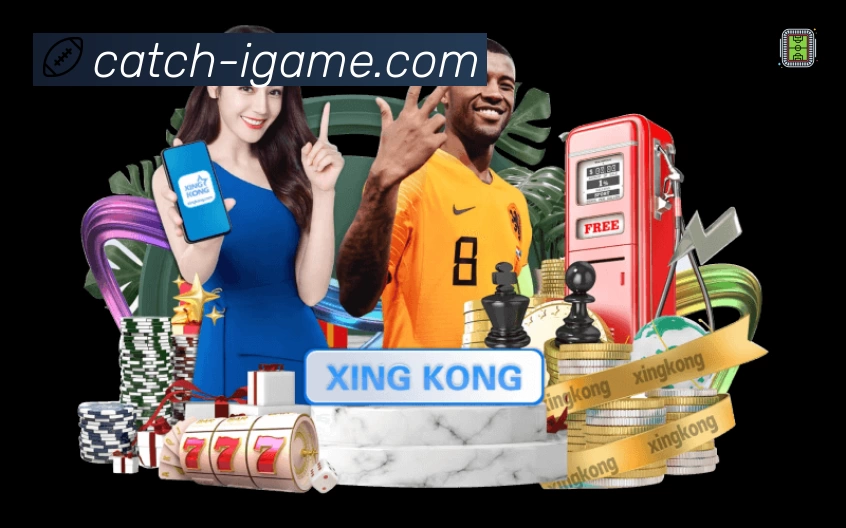 回放与集锦入口